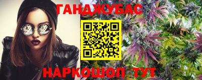 ешки Камышлов