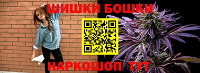 крисы Кандалакша