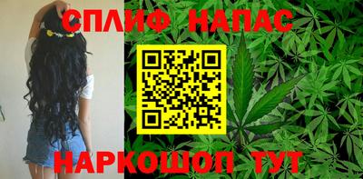 крисы Кандалакша
