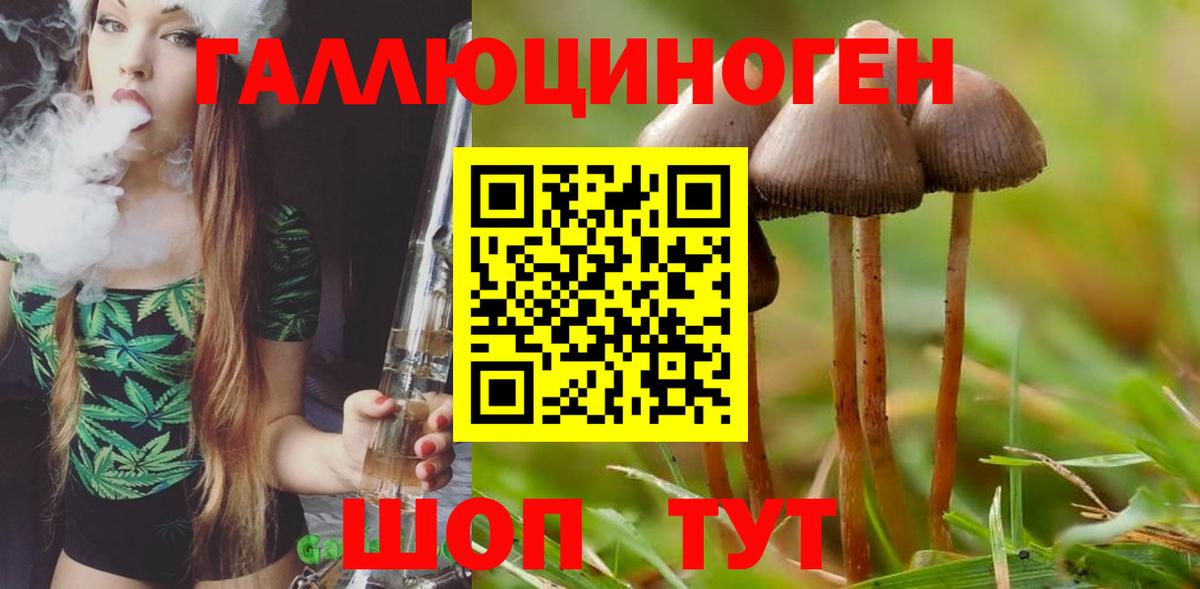 Псилоцибиновые грибы мицелий  Вход с VPN  Коломна 